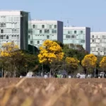 GOVERNO AUTORIZA 9.450 NOVAS VAGAS PARA CONCURSOS PÚBLICOS EM 2023